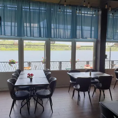 Bela Vrba Backo Novo Selo