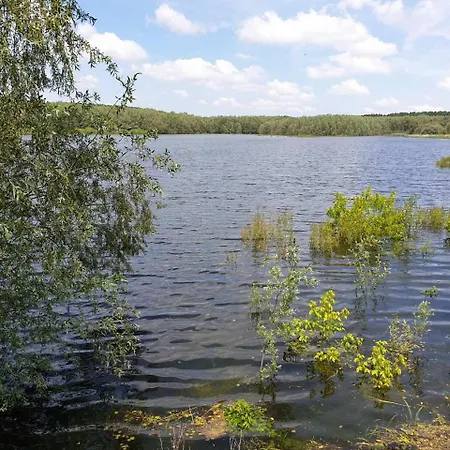 Bela Vrba Bed & Breakfast Backo Novo Selo