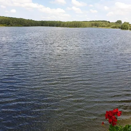 Bed & Breakfast Bela Vrba
