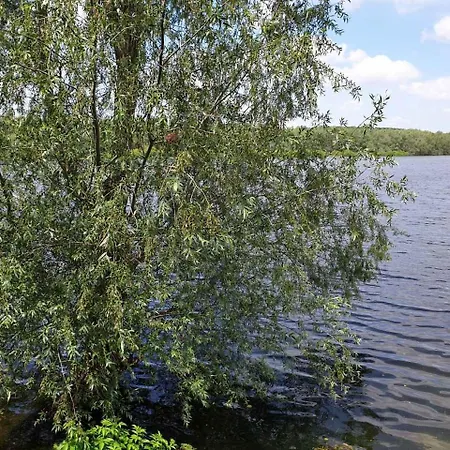 住宿加早餐酒店 Bela Vrba