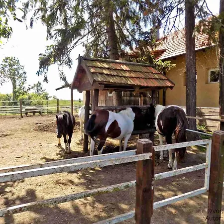 Bela Vrba 3* Backo Novo Selo