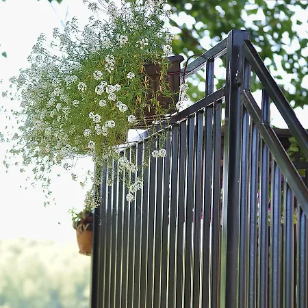 住宿加早餐酒店 Bela Vrba