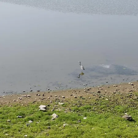 Bela Vrba 3* Backo Novo Selo