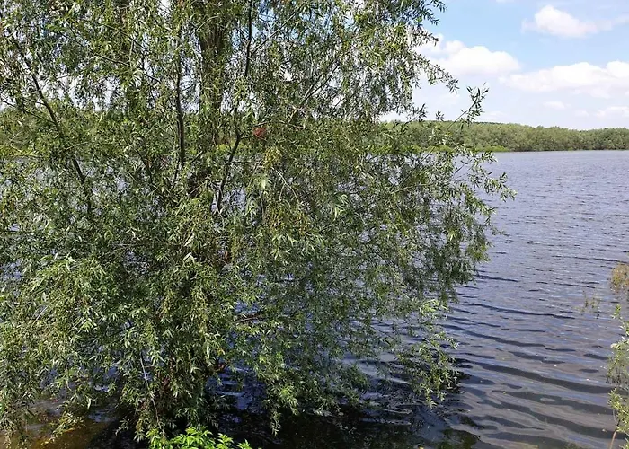 Nocleg ze śniadaniem Bela Vrba