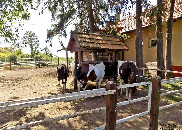 Bela Vrba 3* Backo Novo Selo