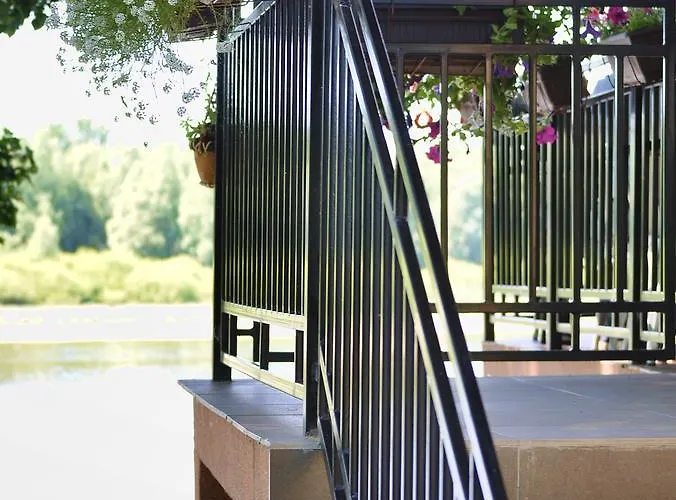 Bela Vrba Backo Novo Selo