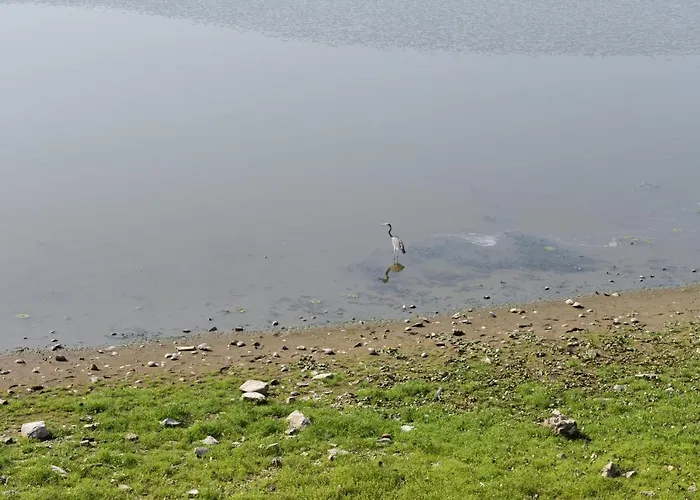 Bela Vrba 3* Backo Novo Selo